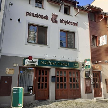 Ubytovani Nad Bisonem Hlinsko Kültér fotó