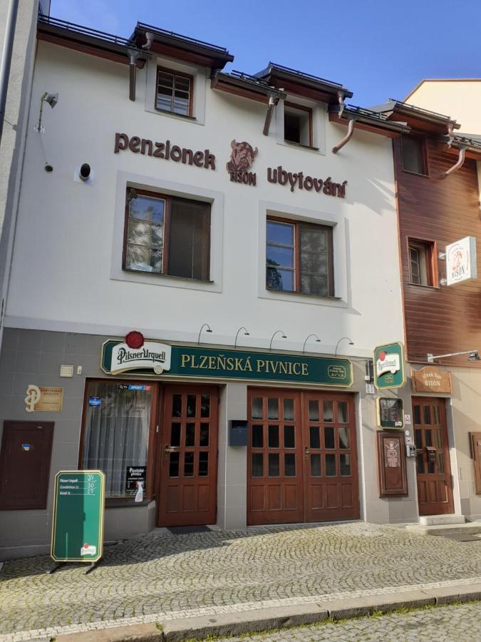 Ubytovani Nad Bisonem Hlinsko Kültér fotó