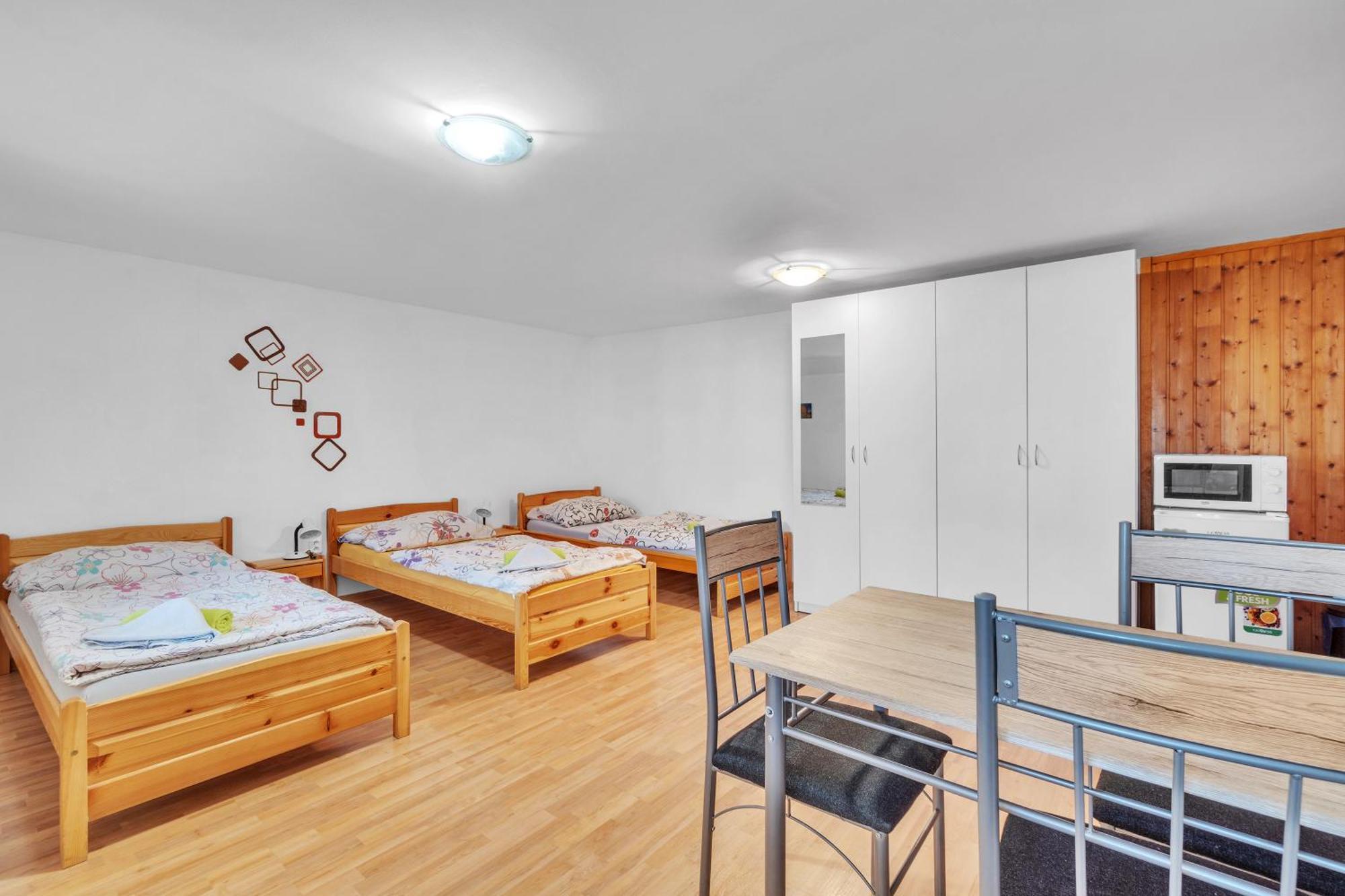 Ubytovani Nad Bisonem Hlinsko Kültér fotó